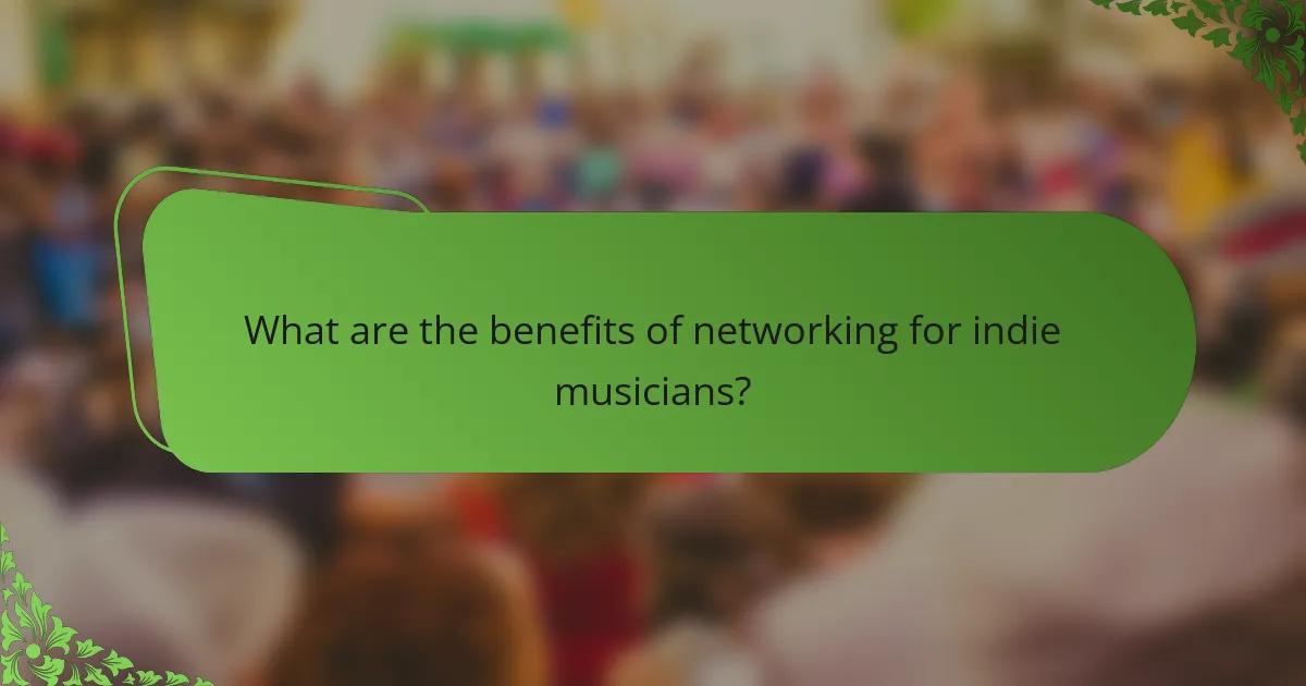 What are the benefits of networking for indie musicians?