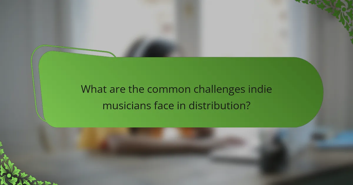 What are the common challenges indie musicians face in distribution?
